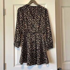 Zara dress